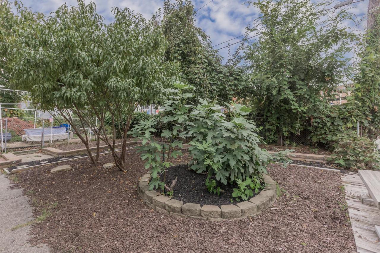 Apartament In The Heart Of Little Italy! Free Parking! Cleveland Zewnętrze zdjęcie
